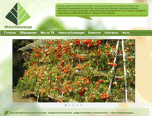 Tablet Screenshot of fitopiramida.com